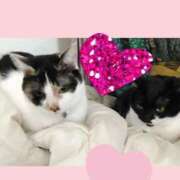 ヒメ日記 2025/04/11 08:58 投稿 ゆう 華椿（YESグループヨコハマ）