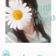 ヒメ日記 2025/04/17 11:01 投稿 ゆう 華椿（YESグループヨコハマ）