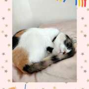 ヒメ日記 2025/05/08 07:43 投稿 ゆう 華椿（YESグループヨコハマ）