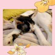 ヒメ日記 2025/05/14 10:06 投稿 ゆう 華椿（YESグループヨコハマ）