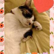 ヒメ日記 2025/05/28 09:13 投稿 ゆう 華椿（YESグループヨコハマ）