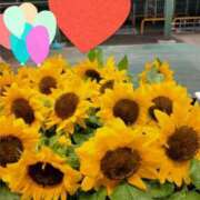 ヒメ日記 2025/06/08 10:02 投稿 ゆう 華椿（YESグループヨコハマ）