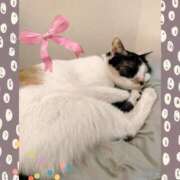 ヒメ日記 2025/07/03 07:53 投稿 ゆう 華椿（YESグループヨコハマ）