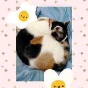 ヒメ日記 2025/07/29 08:33 投稿 ゆう 華椿（YESグループヨコハマ）