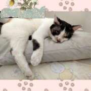 ヒメ日記 2025/08/30 08:48 投稿 ゆう 華椿（YESグループヨコハマ）