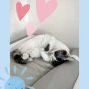 ヒメ日記 2025/09/28 09:03 投稿 ゆう 華椿（YESグループヨコハマ）