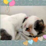 ヒメ日記 2025/10/01 11:04 投稿 ゆう 華椿（YESグループヨコハマ）