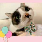 ヒメ日記 2025/10/15 08:24 投稿 ゆう 華椿（YESグループヨコハマ）