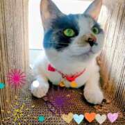 ヒメ日記 2025/11/04 11:34 投稿 ゆう 華椿（YESグループヨコハマ）