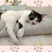 ヒメ日記 2025/11/30 10:04 投稿 ゆう 華椿（YESグループヨコハマ）