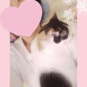 ヒメ日記 2025/12/01 18:12 投稿 ゆう 華椿（YESグループヨコハマ）