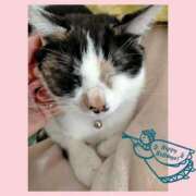 ヒメ日記 2025/12/06 10:42 投稿 ゆう 華椿（YESグループヨコハマ）