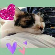 ヒメ日記 2026/01/22 09:15 投稿 ゆう 華椿（YESグループヨコハマ）