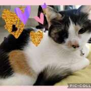 ヒメ日記 2026/01/28 09:23 投稿 ゆう 華椿（YESグループヨコハマ）