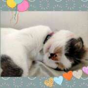 ヒメ日記 2026/02/07 09:49 投稿 ゆう 華椿（YESグループヨコハマ）