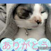 ヒメ日記 2026/02/21 09:30 投稿 ゆう 華椿（YESグループヨコハマ）