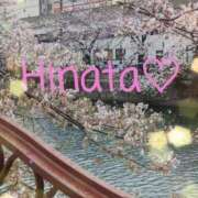 ヒメ日記 2026/04/01 20:31 投稿 ひなた 華椿（YESグループヨコハマ）