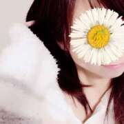 ヒメ日記 2025/02/15 21:25 投稿 ことこ 華椿（YESグループヨコハマ）