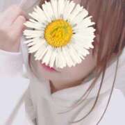 ヒメ日記 2025/02/16 22:35 投稿 ことこ 華椿（YESグループヨコハマ）