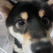 ヒメ日記 2025/12/02 10:36 投稿 咲間麗香 札幌ソフィア