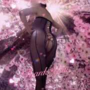 ヒメ日記 2025/04/10 02:58 投稿 篠塚恵美子 五十路マダム愛されたい熟女たち岡山店（カサブランカグループ）