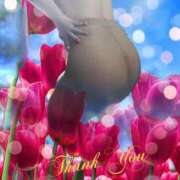 ヒメ日記 2025/04/28 16:46 投稿 篠塚恵美子 五十路マダム愛されたい熟女たち岡山店（カサブランカグループ）