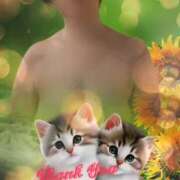 ヒメ日記 2025/07/26 02:28 投稿 篠塚恵美子 五十路マダム愛されたい熟女たち岡山店（カサブランカグループ）