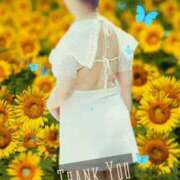 ヒメ日記 2025/07/26 02:34 投稿 篠塚恵美子 五十路マダム愛されたい熟女たち岡山店（カサブランカグループ）