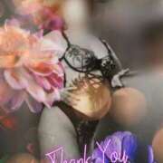 ヒメ日記 2025/08/31 04:08 投稿 篠塚恵美子 五十路マダム愛されたい熟女たち岡山店（カサブランカグループ）