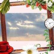 ヒメ日記 2024/12/31 15:50 投稿 黒田理香 五十路マダム愛されたい熟女たち岡山店（カサブランカグループ）