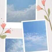 ヒメ日記 2025/04/11 13:56 投稿 黒田理香 五十路マダム愛されたい熟女たち岡山店（カサブランカグループ）