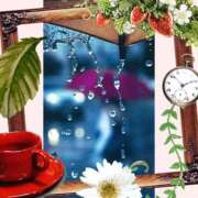 ヒメ日記 2025/08/10 16:54 投稿 黒田理香 五十路マダム愛されたい熟女たち岡山店（カサブランカグループ）