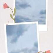 ヒメ日記 2025/08/27 17:18 投稿 黒田理香 五十路マダム愛されたい熟女たち岡山店（カサブランカグループ）