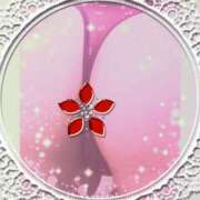 ヒメ日記 2025/09/09 10:36 投稿 黒田理香 五十路マダム愛されたい熟女たち岡山店（カサブランカグループ）