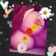 ヒメ日記 2025/11/11 11:40 投稿 黒田理香 五十路マダム愛されたい熟女たち岡山店（カサブランカグループ）