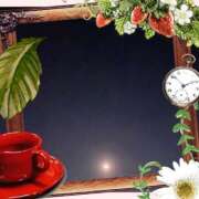 ヒメ日記 2025/12/11 02:04 投稿 黒田理香 五十路マダム愛されたい熟女たち岡山店（カサブランカグループ）