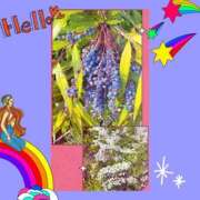 ヒメ日記 2026/03/28 16:52 投稿 黒田理香 五十路マダム愛されたい熟女たち岡山店（カサブランカグループ）