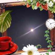 ヒメ日記 2026/04/03 02:34 投稿 黒田理香 五十路マダム愛されたい熟女たち岡山店（カサブランカグループ）