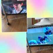 ヒメ日記 2024/12/29 13:52 投稿 立川真由子 五十路マダム愛されたい熟女たち岡山店（カサブランカグループ）