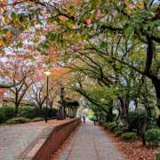 松山祥子 こんばんは???(●´?`●)?? 五十路マダム愛されたい熟女たち岡山店（カサブランカグループ）