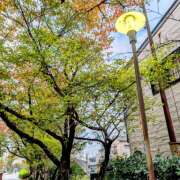 ヒメ日記 2025/11/23 15:54 投稿 松山祥子 五十路マダム愛されたい熟女たち岡山店（カサブランカグループ）