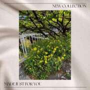 ヒメ日記 2025/05/04 10:50 投稿 斉藤美幸 五十路マダム愛されたい熟女たち岡山店（カサブランカグループ）