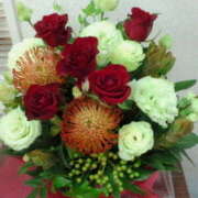 ヒメ日記 2025/11/15 03:14 投稿 入江美希 五十路マダム愛されたい熟女たち岡山店（カサブランカグループ）