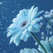 ヒメ日記 2026/02/05 00:32 投稿 入江美希 五十路マダム愛されたい熟女たち岡山店（カサブランカグループ）