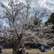 ヒメ日記 2025/04/07 12:12 投稿 高岡まさみ 五十路マダム愛されたい熟女たち岡山店（カサブランカグループ）