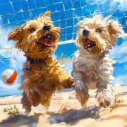 ヒメ日記 2025/08/13 12:00 投稿 高岡まさみ 五十路マダム愛されたい熟女たち岡山店（カサブランカグループ）