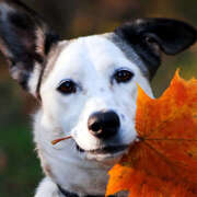 ヒメ日記 2025/09/13 12:22 投稿 高岡まさみ 五十路マダム愛されたい熟女たち岡山店（カサブランカグループ）