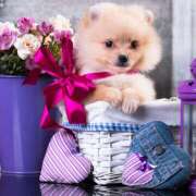 ヒメ日記 2025/09/23 12:14 投稿 高岡まさみ 五十路マダム愛されたい熟女たち岡山店（カサブランカグループ）