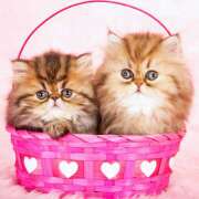 ヒメ日記 2025/09/30 12:06 投稿 高岡まさみ 五十路マダム愛されたい熟女たち岡山店（カサブランカグループ）