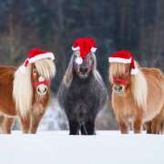 高岡まさみ こんにちは 五十路マダム愛されたい熟女たち岡山店（カサブランカグループ）